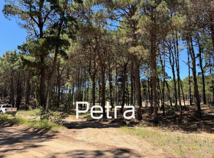 Terreno en Venta en Villarobles. Serena Lote 148 - 3