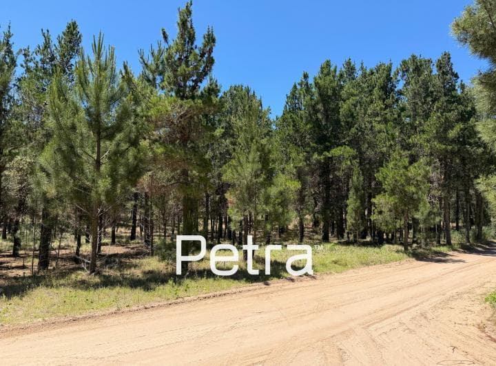 Terreno en Venta en Villarobles. Serena Lote 505 - 3