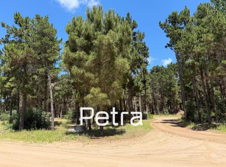 Terreno en Venta en Villarobles. Serena Lote 505 - 5