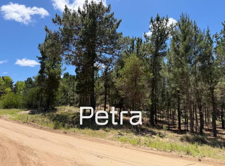Terreno en Venta en Villarobles. Serena Lote 505 - 2