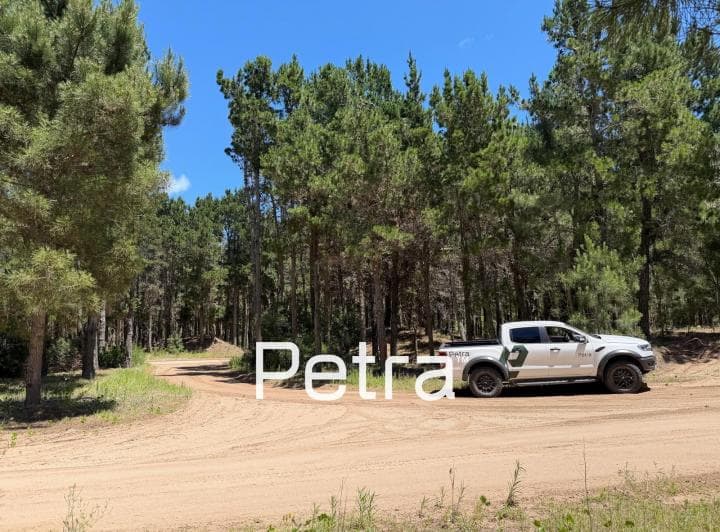 Terreno en Venta en Villarobles. Serena Lote 505 - 4