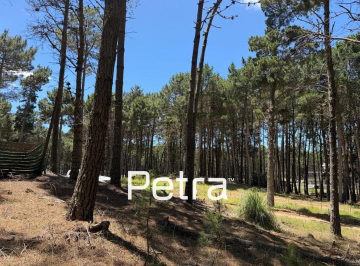 Terreno en Venta en Villarobles. Albatros Lote 305 - 4