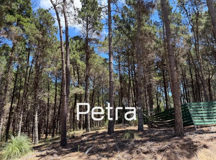 Terreno en Venta en Villarobles. Albatros Lote 305 - 5