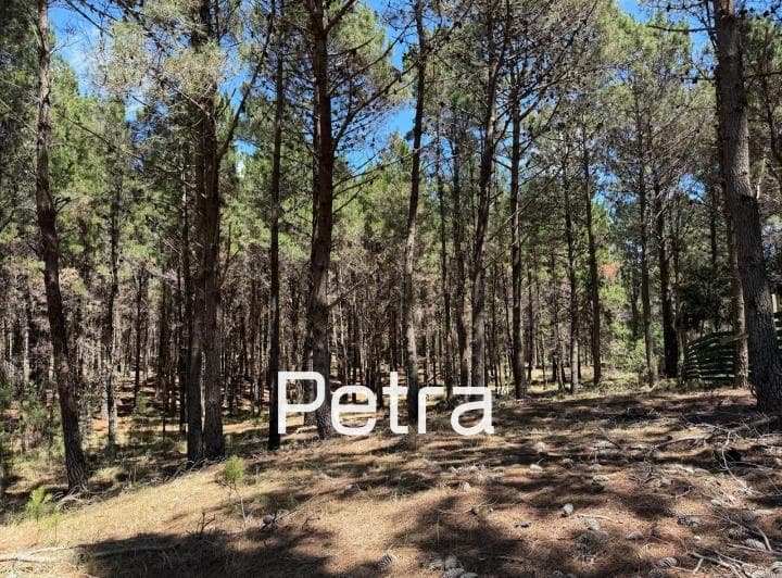 Terreno en Venta en Villarobles. Albatros Lote 305 - 2