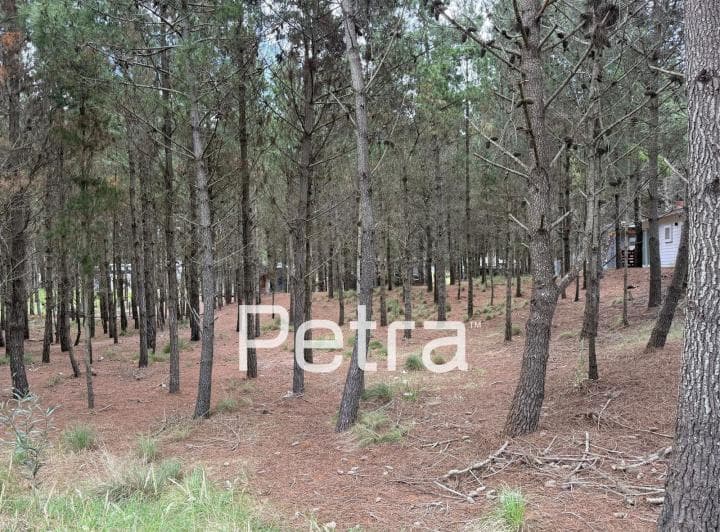 Terreno en Venta en Costa Esmeralda - 3
