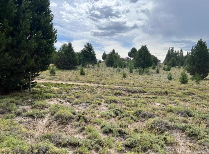 Terreno Lote en Venta en Villa Lago Meliquina, San Martin de Los Andes, Patagonia - 5