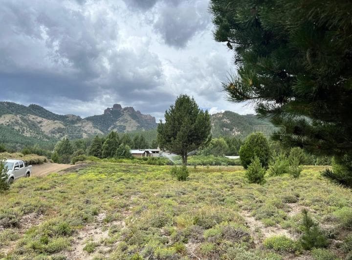 Terreno Lote en Venta en Villa Lago Meliquina, San Martin de Los Andes, Patagonia - 4