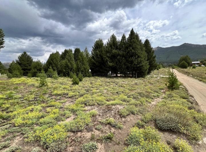 Terreno Lote en Venta en Villa Lago Meliquina, San Martin de Los Andes, Patagonia - 2