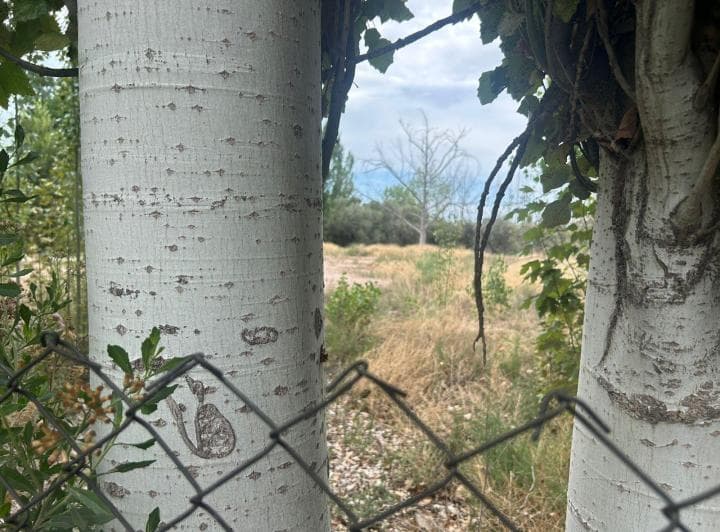 Terreno en Venta - 2
