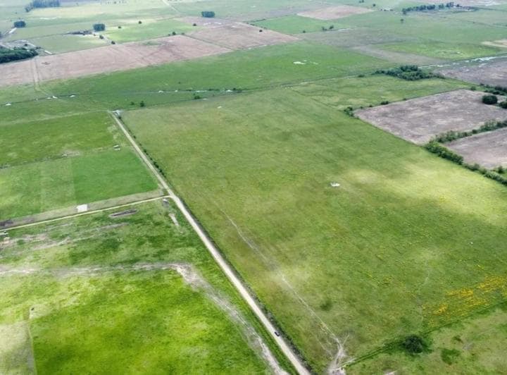 Campo en Venta - 163.400 m² - Navarro - 3