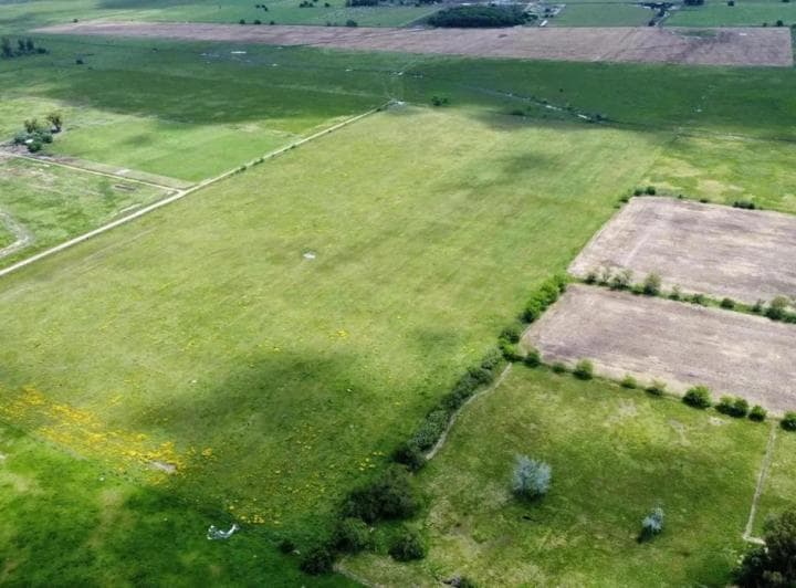 Campo en Venta - 163.400 m² - Navarro - 2