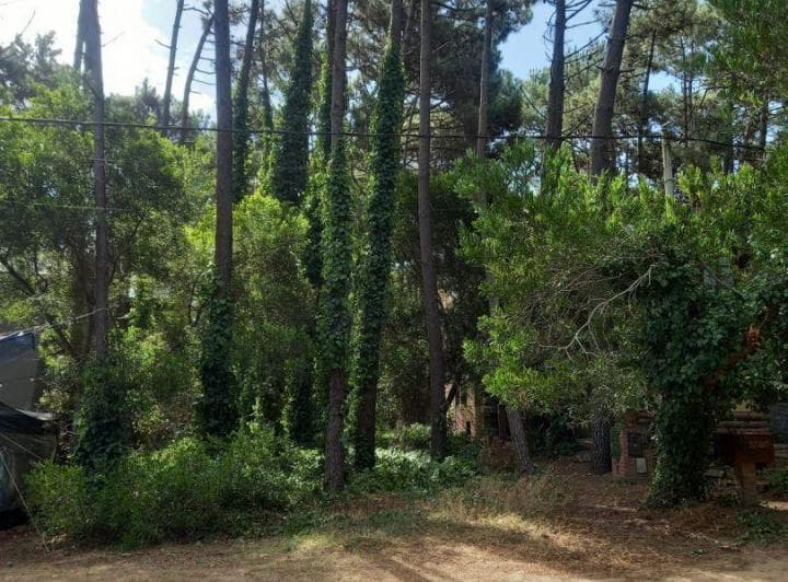 Venta Lote Mar Azul - 2