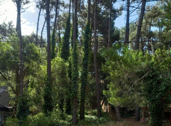 Venta Lote Mar Azul - 5