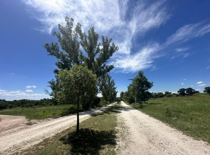 Oportunidad Lotes en Venta en Lomas de Anisacate - 2