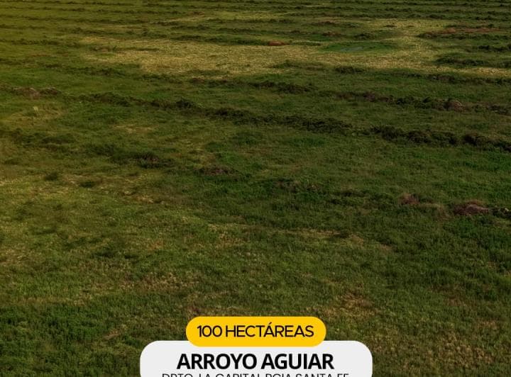 Arroyo Aguiar 100 Has Agricola, Ganadera, Turistica - 3