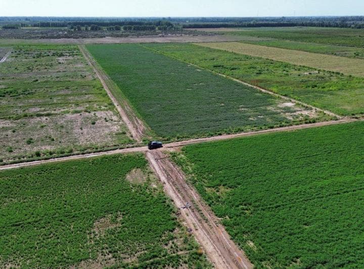 Finca Agrícola de 76 Ha con Doble Derecho de Riego – Jocolí Viejo, Lavalle a 5 Min de Villa Tulumaya - 2