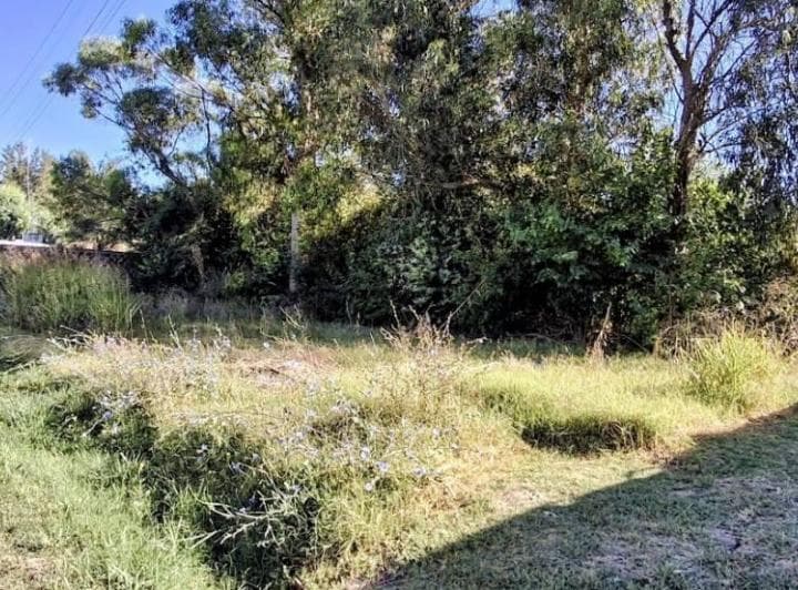 Terrenos en Venta en Sicardi, Ultimos Lotes - 3
