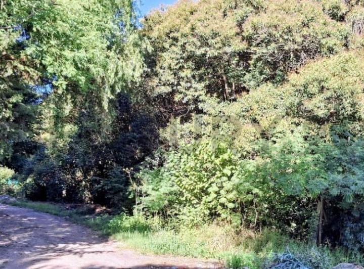 Terrenos en Venta en Sicardi, Ultimos Lotes - 4