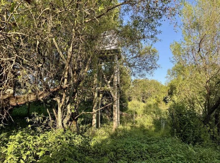 Venta Cabaña Villa Animi - 5