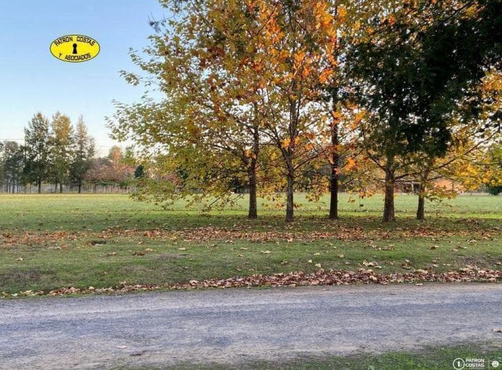 Comarcas Santa Matilde Lote 10000 m² Ubicacion Central - 3