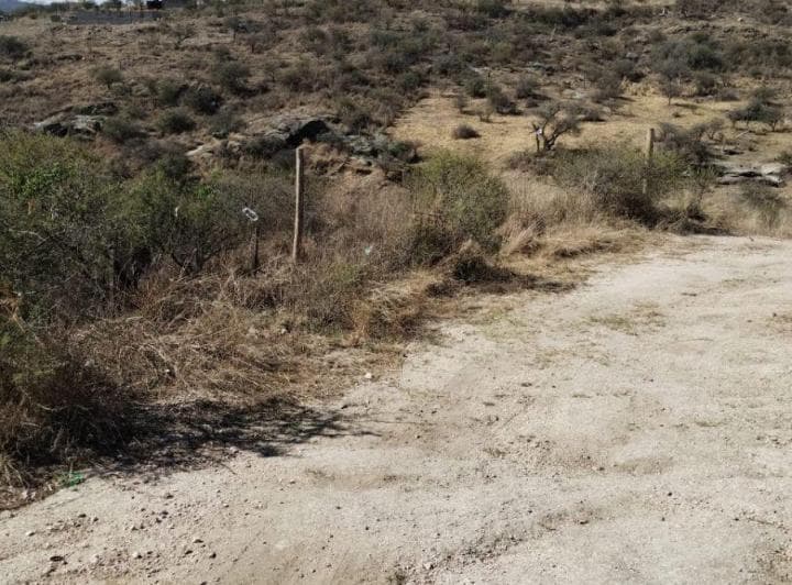 Oportunidad de Adquirir un Terreno en Villa Parque Siquiman - 5