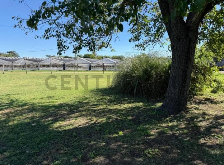 Venta de Lote en Villa Elisa - 4