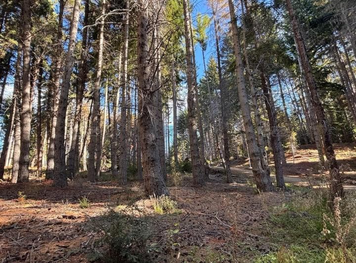 Terreno Lote en Venta en Villa Campanario, Bariloche, Patagonia - 3