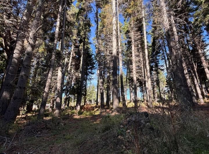 Terreno Lote en Venta en Villa Campanario, Bariloche, Patagonia - 4