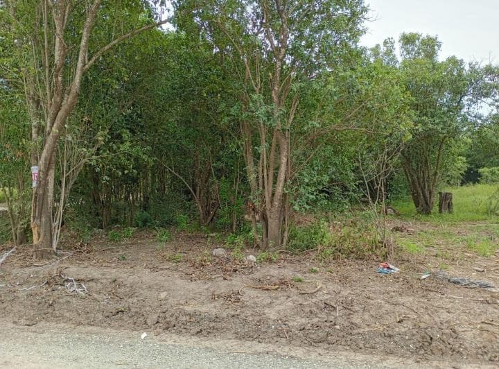 Anisacate Barrio Los Talas Lotes Sobre El Nuevo Ingreso Principal - Entrega Us$2.200 y Cuotas Fijas - 5