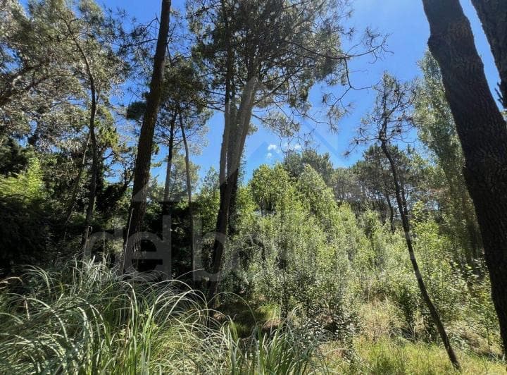 Lote en Esquina con Posibilidad de Adicionar Casa Lindera (Cod - 50003) - 3