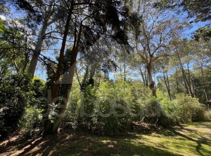 Lote en Esquina con Posibilidad de Adicionar Casa Lindera (Cod - 50003) - 5