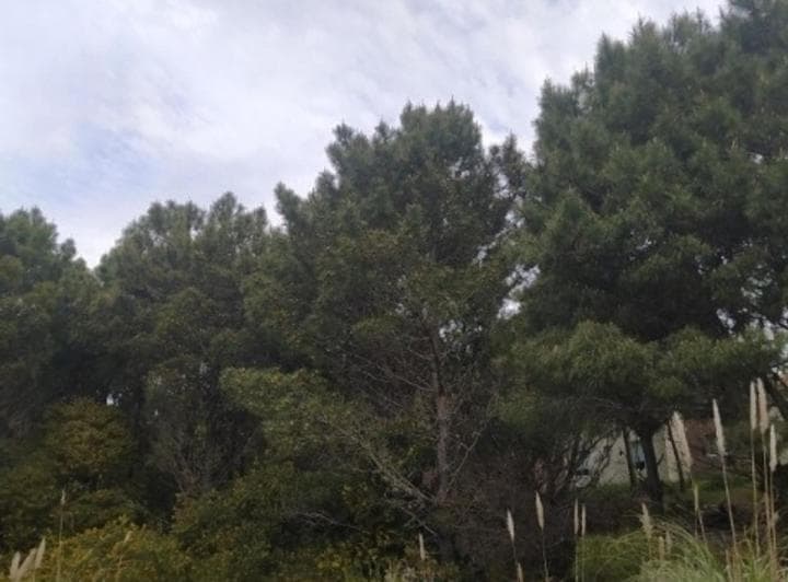 Lote Terreno en Venta - Costa Esmeralda - 2