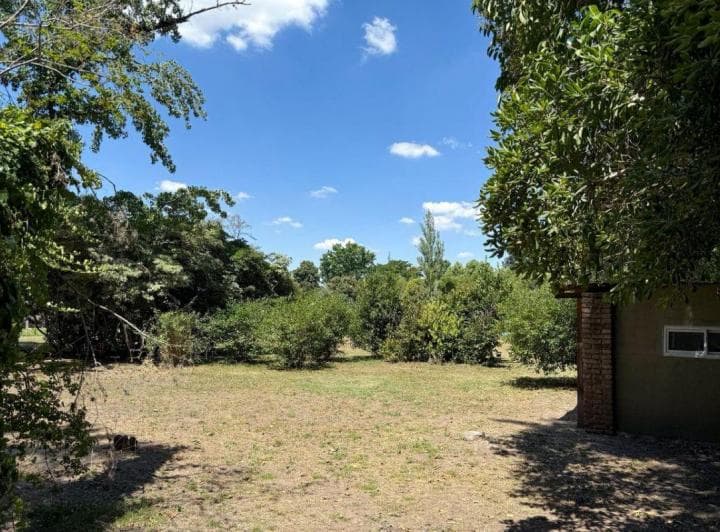 Lote en Los Nogales, Entorno Arbolado y de Poco Tránsito - 2
