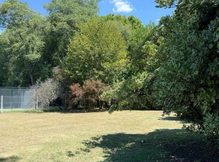 Lote en Los Nogales, Entorno Arbolado y de Poco Tránsito - 4