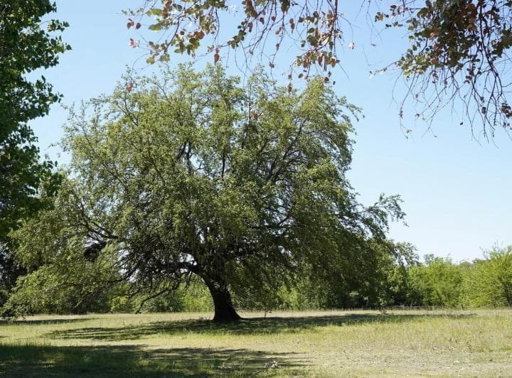 Terrenos en Venta de 5000 m&sup2; En, el Buen Aire, Ascochinga. - 2