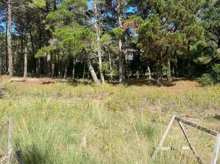 Lote 544 en Barrio Cerrado Villa Robles con Fondo Al Lago - 5