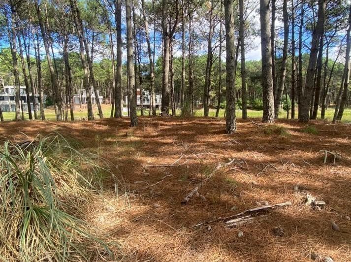 Lote 58 - en Barrio Brisas en Villa Robles - Cercano Al Mar - 3