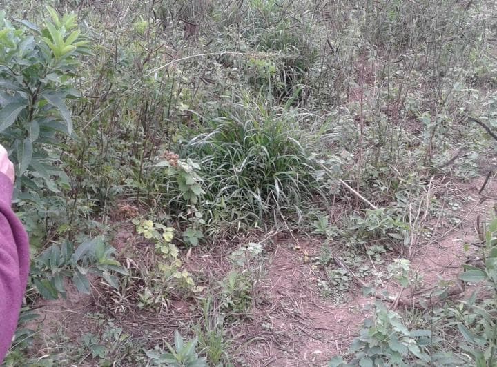 Campo en Venta en Las Lomitas, Formosa - 2