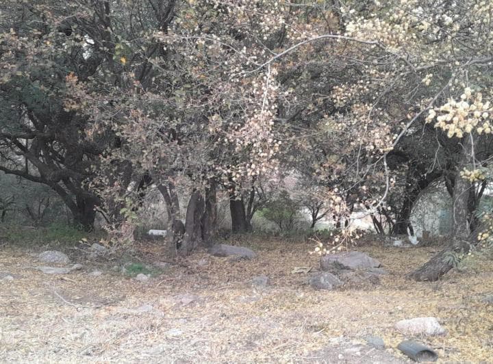 Terreno en Venta La Cuesta La Calera - 5