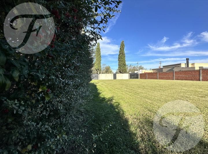 Gran Lote Premium en Zona Residencial de San Pedro Totalmente Perimetrado y Listo Para Disfrutar - 5