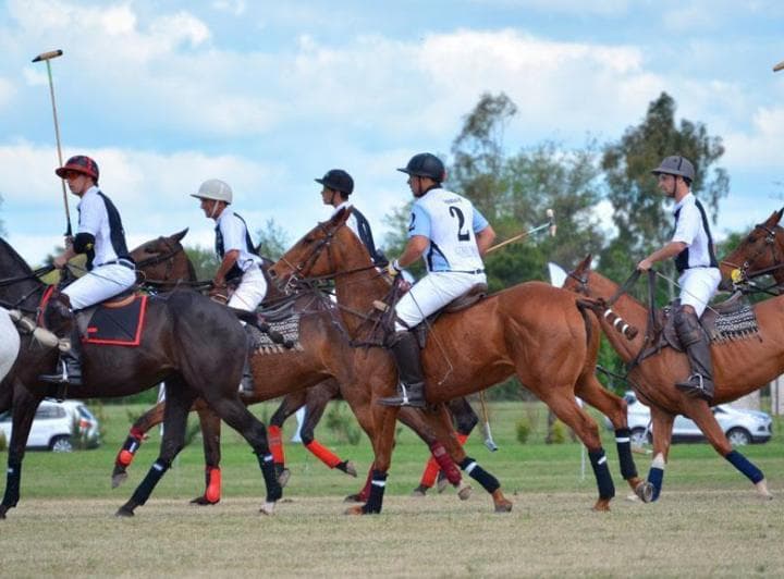 Terreno - Greenville Polo & Resort - 3