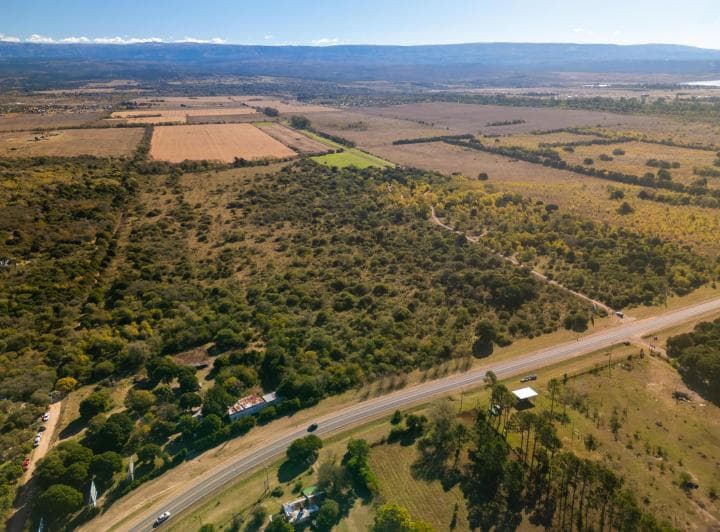 Campo 50 Ha con Frente a Ruta 5 - Villa Ciudad Parque - 2