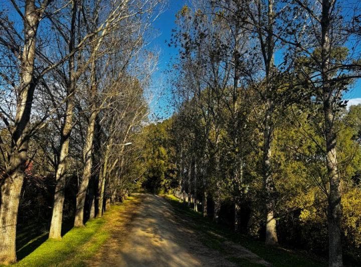 Lote en Chacras del Paraíso - Tandil - 4