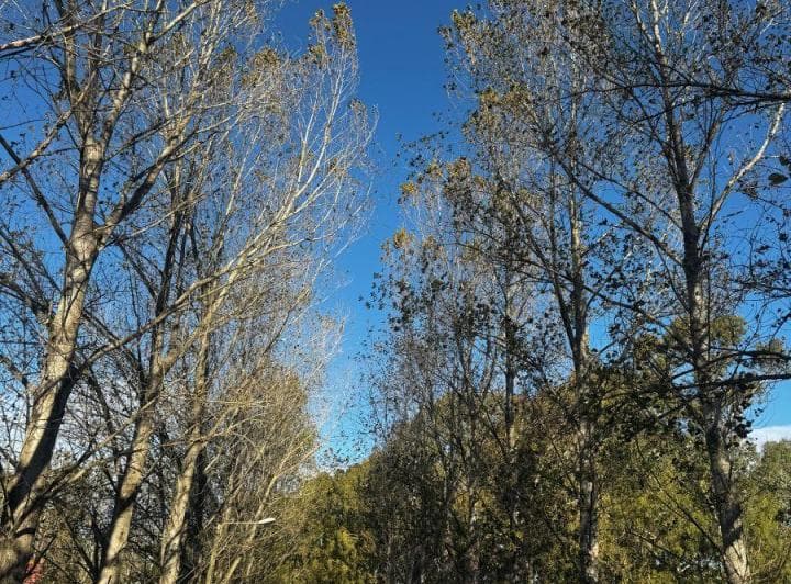 Lote en Chacras del Paraíso - Tandil - 5