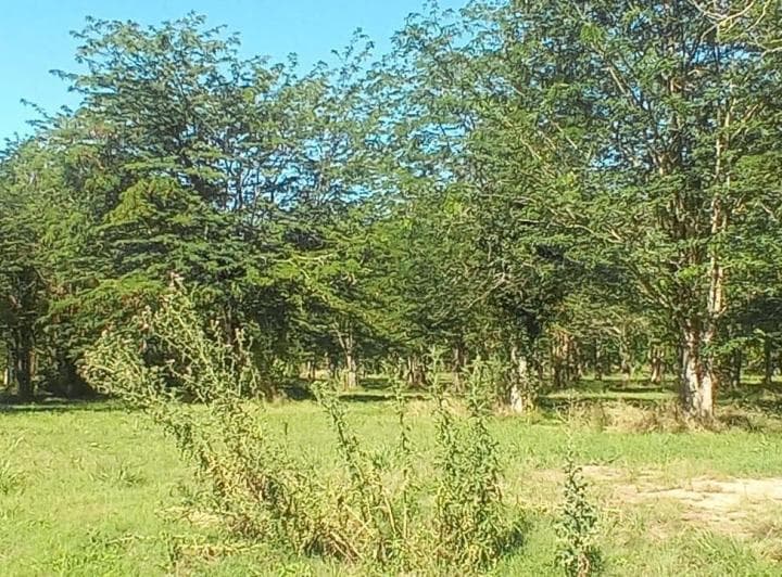 Terreno en Barrio Privado Abril Sur - 3