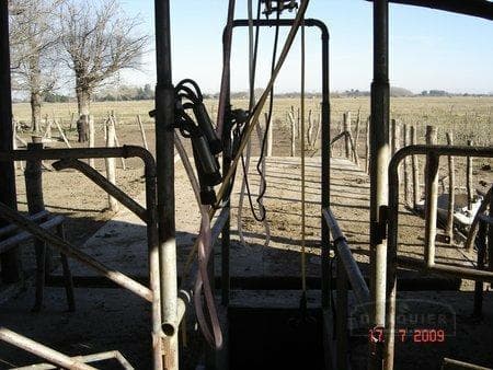 Campo en Ranchos - 4