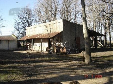 Campo en Ranchos - 3
