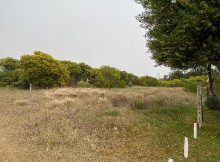 Terreno en Venta - 1000 m² - Barrio Residencial I, Costa Esmeralda - 2