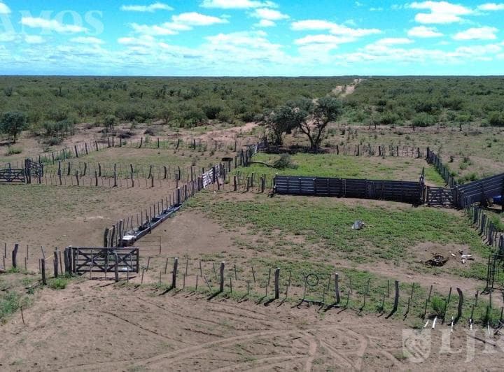 14500 Ha Ganaderas La Paz, Mendoza - 5