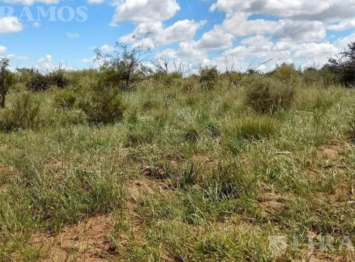 14500 Ha Ganaderas La Paz, Mendoza - 2
